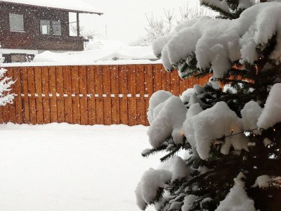 Holiday apartment Zur urigen Kiefer - Outdoor photo 7