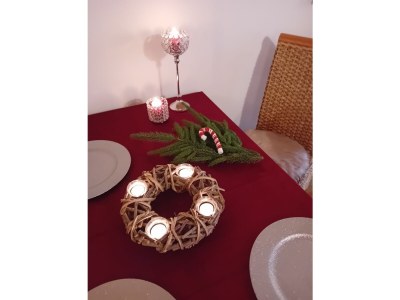 Holiday apartment Zur urigen Kiefer - Outdoor photo 12