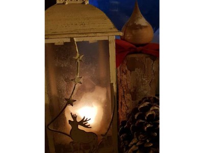 Holiday apartment Zur urigen Kiefer - Outdoor photo 23