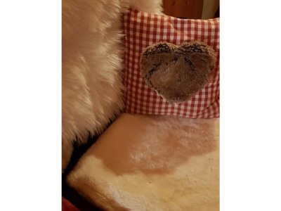 Holiday apartment Zur urigen Kiefer - Outdoor photo 24