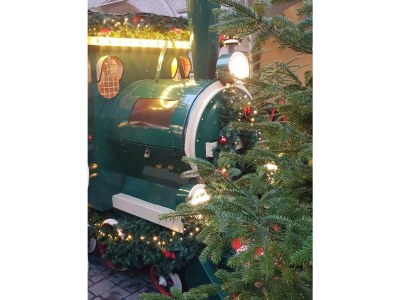 Holiday apartment Zur urigen Kiefer - Outdoor photo 26