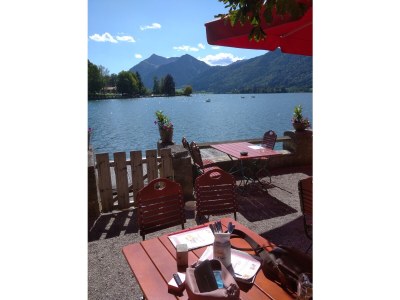 Holiday apartment Zur urigen Kiefer - Outdoor photo 30