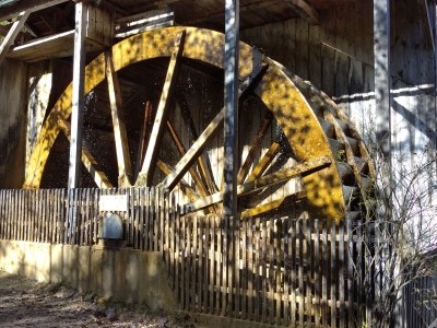 Holiday apartment Zur urigen Kiefer - Environment photo 34