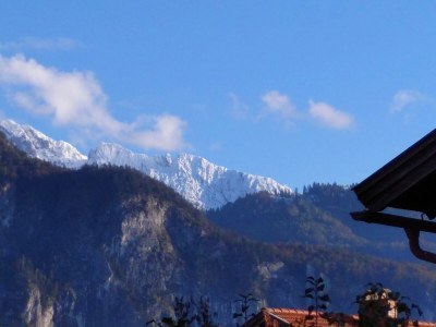 Holiday apartment Zur urigen Kiefer - Environment photo 35