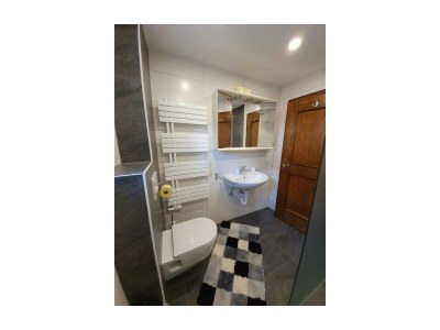 Apartment Appartement/Fewo, Dusche, WC - Features photo 42