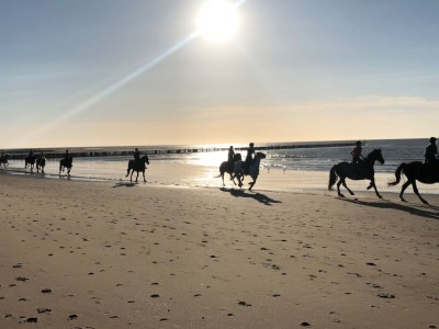 Holiday apartment Klaus - Environment photo 33