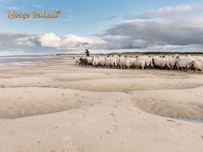 Holiday house Rivage 3c - Environment photo 27