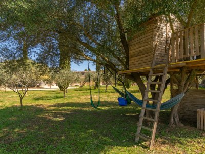 Villa Can Prim 6 - Environment photo 50