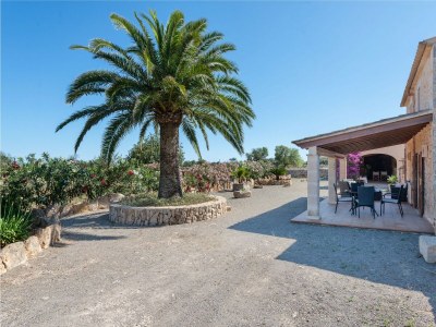 Holiday house Can Miquel - Outdoor photo 13