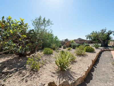 Holiday house Can Miquel - Outdoor photo 21