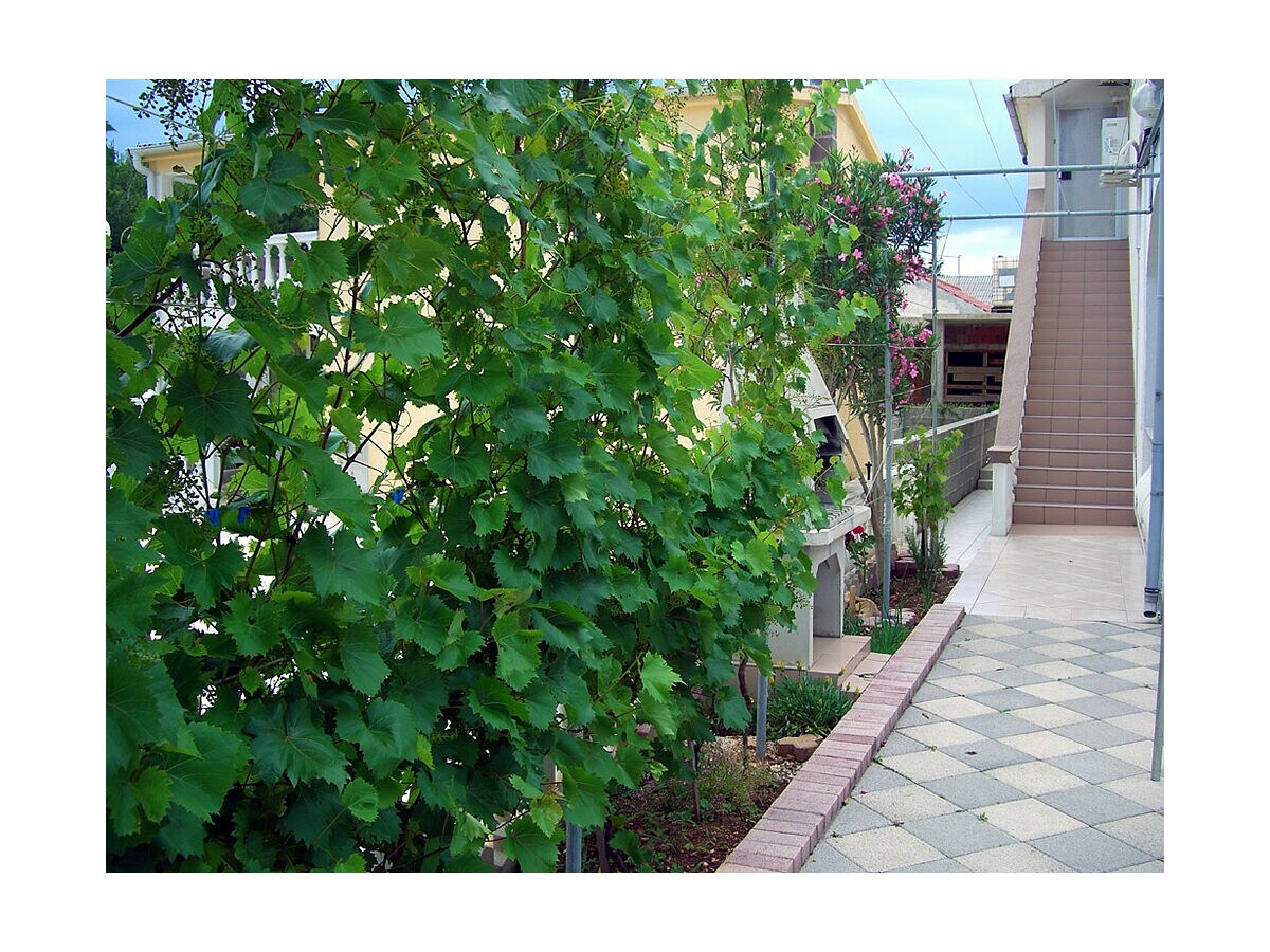 Holiday house Annabel - Outdoor photo 5