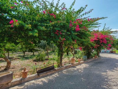 Holiday house Can Calafat - Outdoor photo 19