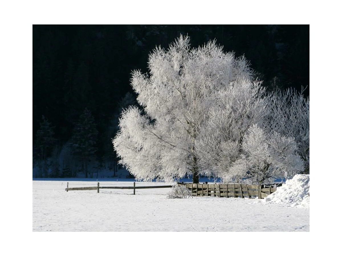 Apartment Ferienwohnung 1. Stock, Nr. 2 - Outdoor photo 4