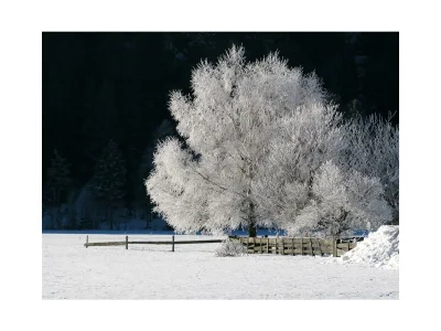 Apartment Ferienwohnung 1. Stock, Nr. 2 - Outdoor photo 4