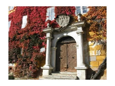 Apartment Ferienwohnung 1. Stock, Nr. 2 - Outdoor photo 37