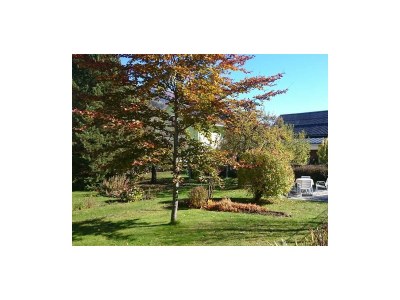 Apartment Ferienwohnung 1. Stock, Nr. 2 - Outdoor photo 60