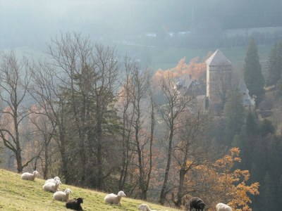 Apartment Ferienwohnung 1. Stock, Nr. 2 - Outdoor photo 78