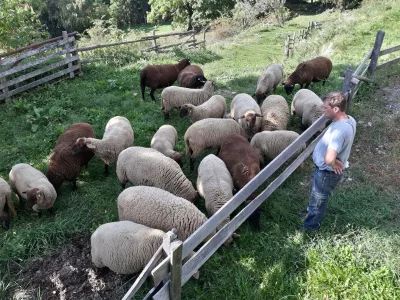 Apartment Chalet Valentina - Outdoor photo 7