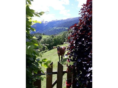 Apartment Chalet Valentina - Outdoor photo 8