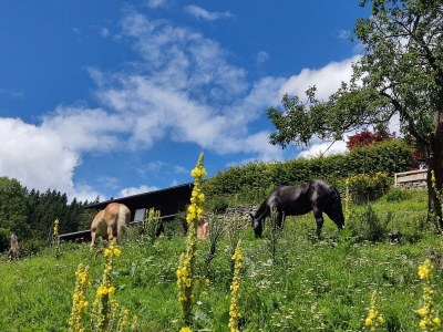 Apartment Chalet Valentina - Outdoor photo 12