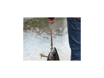 Apartment SennhÃ¼tte - Outdoor photo 30