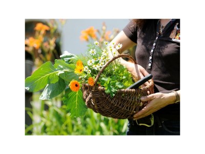 Apartment SennhÃ¼tte - Outdoor photo 31