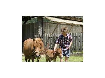 Apartment MÃ¼llnerhaus - Outdoor photo 6