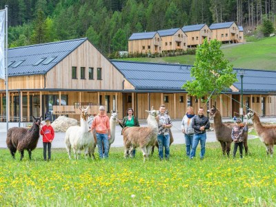 Apartment Chalet Auernig - Outdoor photo 52