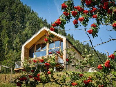 Apartment Chalet Auernig - Features photo 73