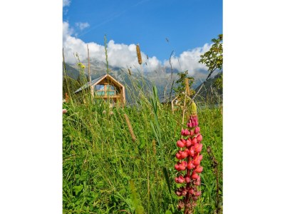 Apartment Chalet Auernig - Features photo 74