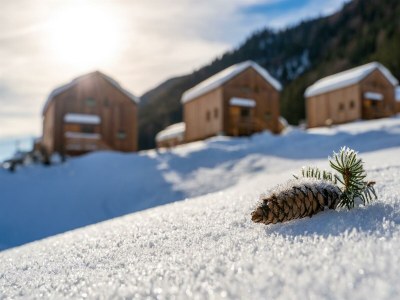 Apartment Chalet Auernig - Features photo 80