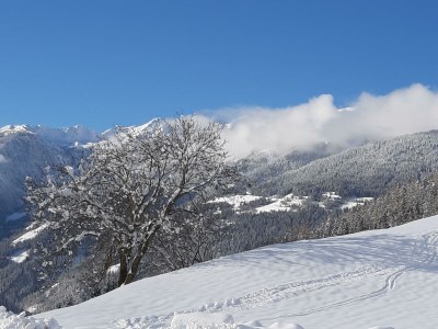 Apartment Ferienwohnung Anna - Outdoor photo 6