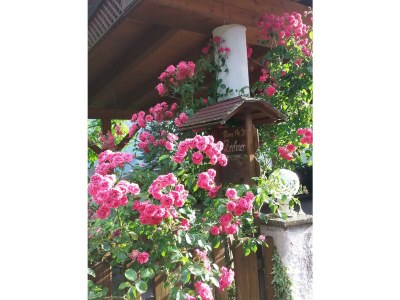 Apartment Ferienwohnung Anna - Outdoor photo 28