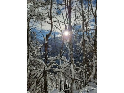 Apartment Ferienwohnung Anna - Outdoor photo 31