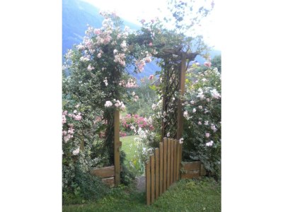 Apartment Ferienwohnung Anna - Outdoor photo 32