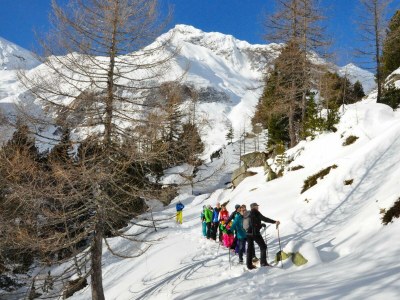 Apartment Säuleck Appartement - Outdoor photo 8