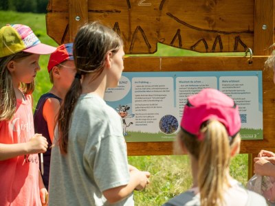 Apartment Säuleck Appartement - Outdoor photo 9