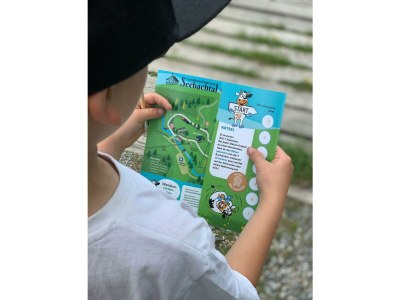 Apartment Säuleck Appartement - Outdoor photo 11