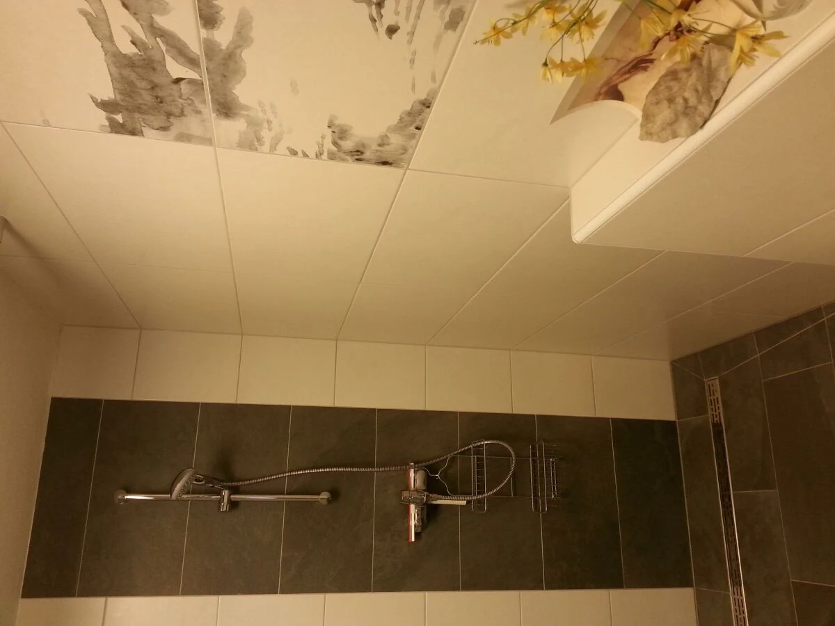 Apartment Ferienhaus Rieger: 2 separate Wohnungen - Outdoor photo 5