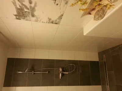 Apartment Ferienhaus Rieger: 2 separate Wohnungen - Outdoor photo 5