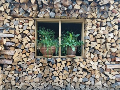 Apartment Appartement 6 mit Balkon - Outdoor photo 58