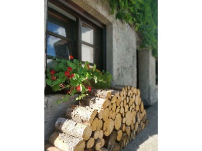 Apartment Appartement 6 mit Balkon - Outdoor photo 60