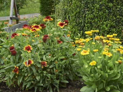 Apartment Ferienhaus - Outdoor photo 15