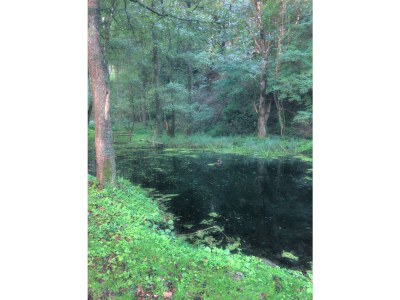 Apartment Mobile Home - Draucamping Sachsenburg - Kärnten - Outdoor photo 20