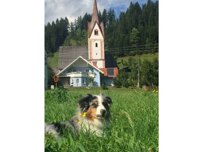 Apartment Mobile Home - Draucamping Sachsenburg - Kärnten - Outdoor photo 63