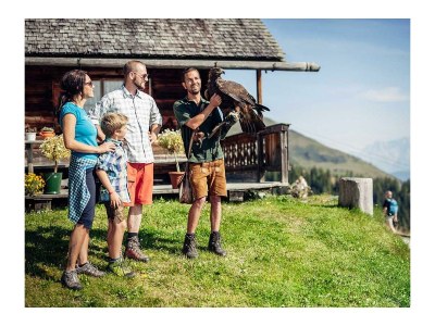 Apartment Mobile Home - Draucamping Sachsenburg - Kärnten - Outdoor photo 94