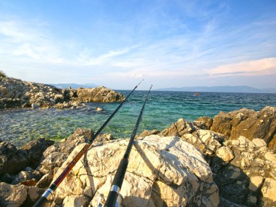 Villa Marija - Environment photo 25