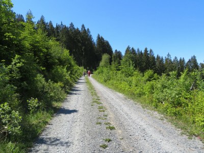 Holiday house Der Steinbock - Environment photo 22
