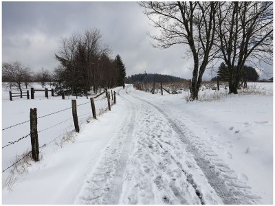 Holiday house Der Steinbock - Environment photo 24
