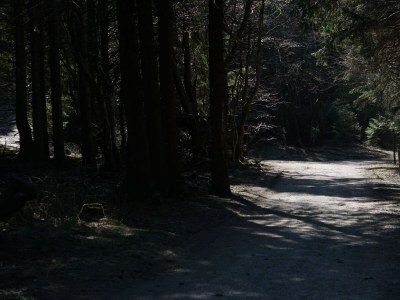 Holiday house Der Steinbock - Environment photo 25